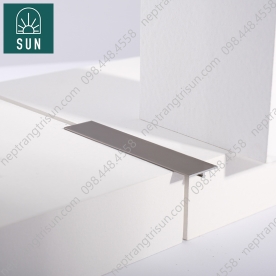 NẸP T NHÔM MT20-CN